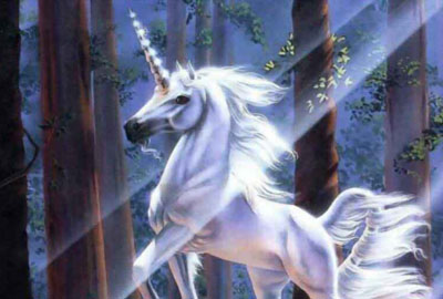unicorn yes done