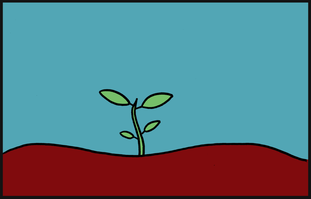 blog-tiny-new-plant-framed