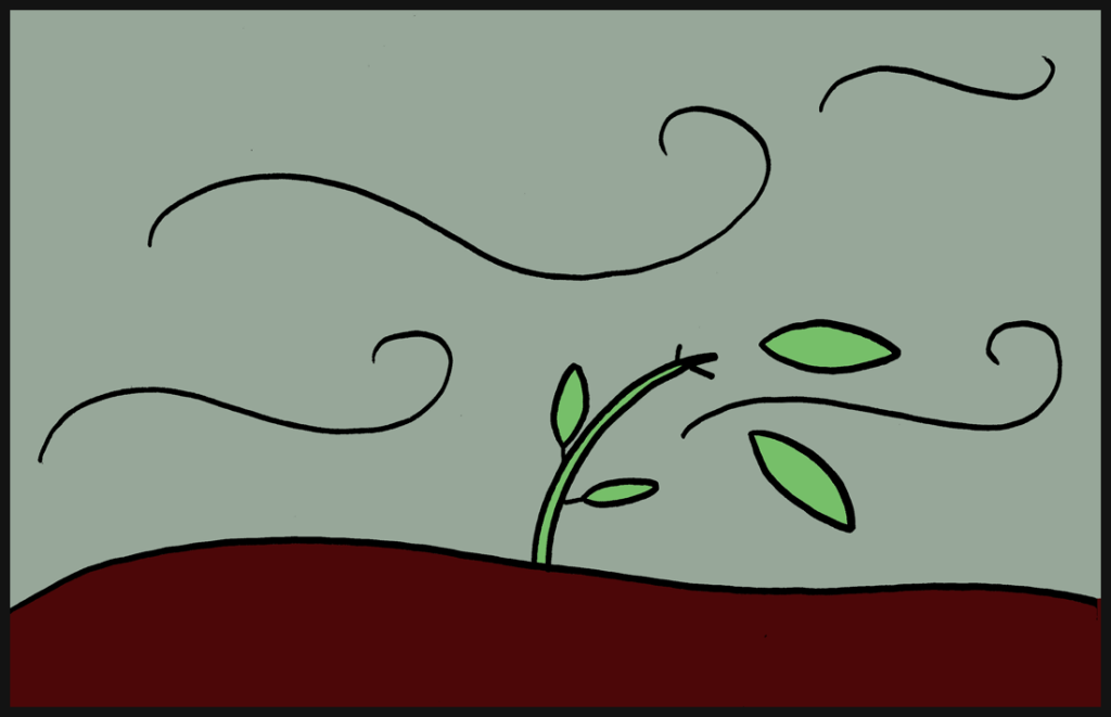 blog-windy-plant-framed