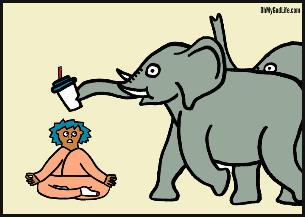 blog-elephants-second-time