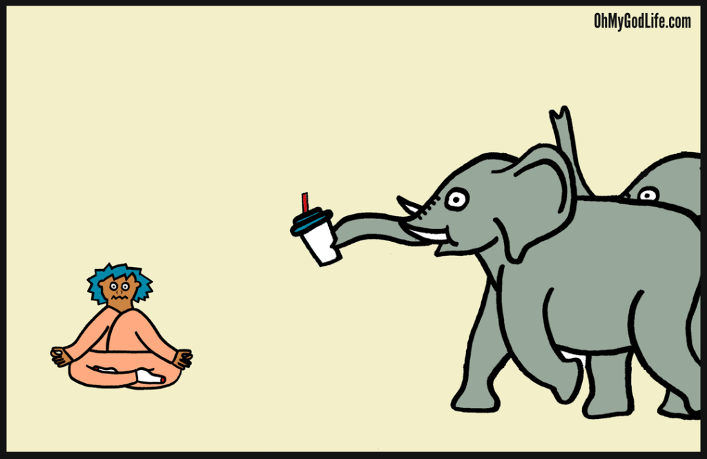 blog-first-elephants-comin
