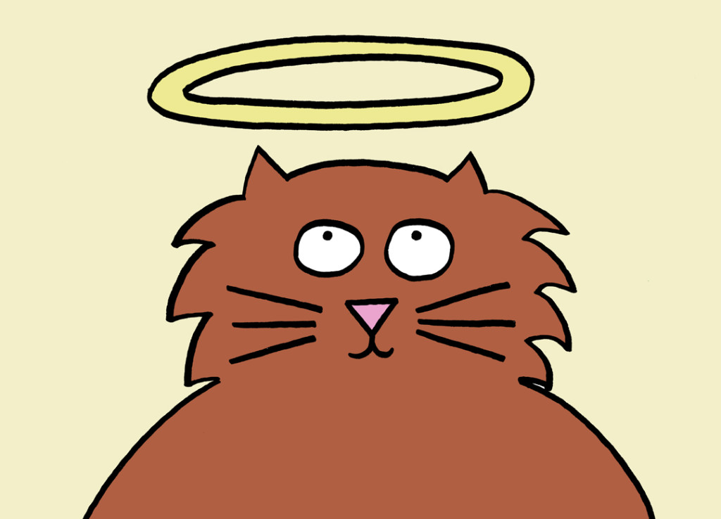 blog.cat with halo