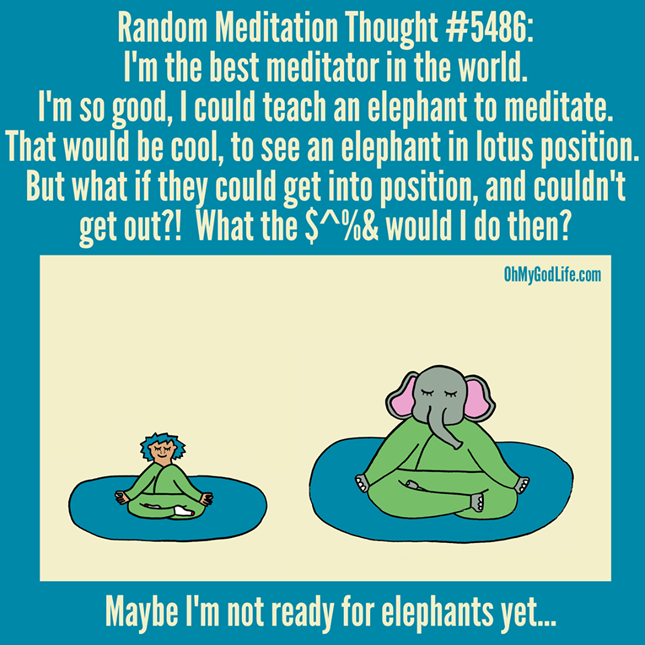 Not Ready for Elephants