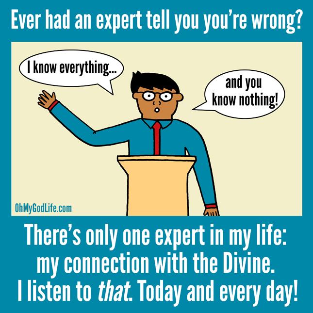 One Expert