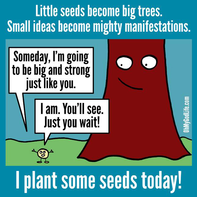Plant Soilless Seeds