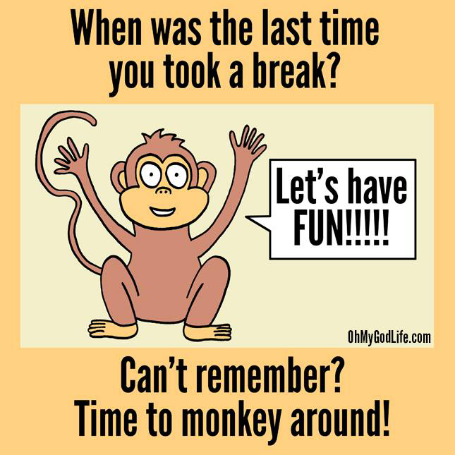 Get Monkeying Around
