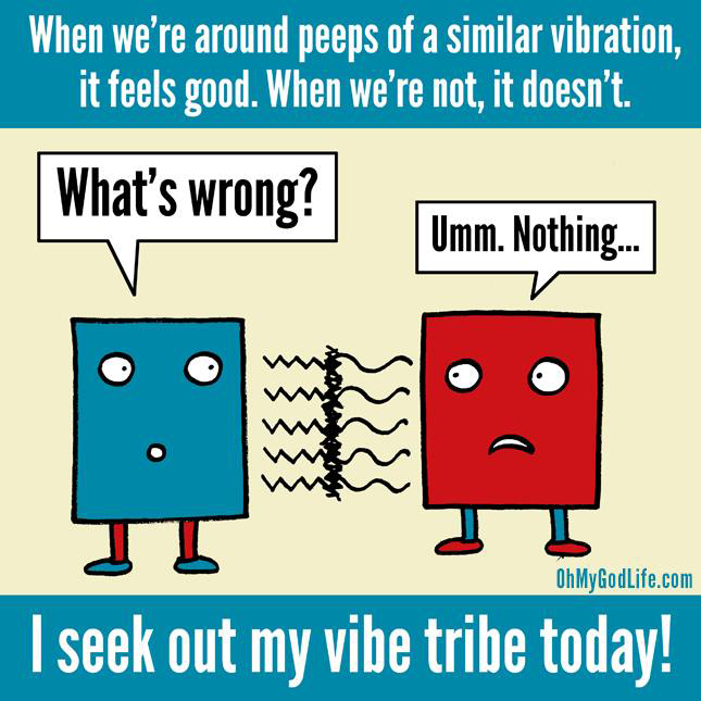 Project Tribe Vibes