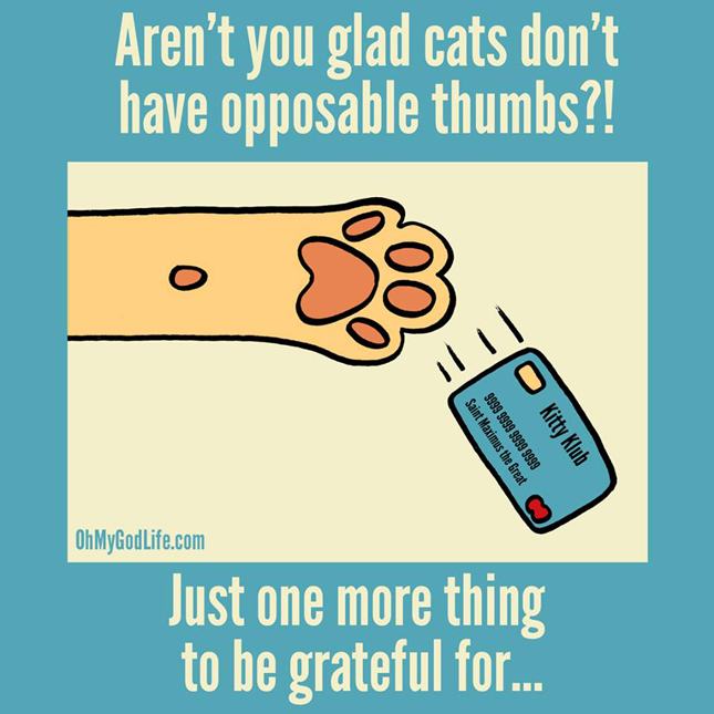 Gratitude Bucket VS Gratitude Thimble