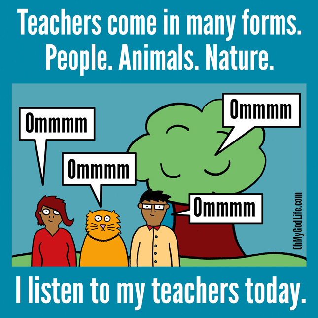 Wisdom Is Everywhere