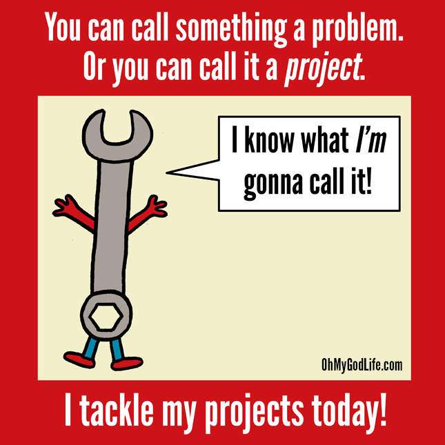 Enjoy the Project Moment